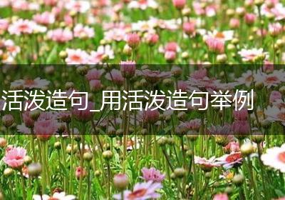 活泼造句_用活泼造句举例