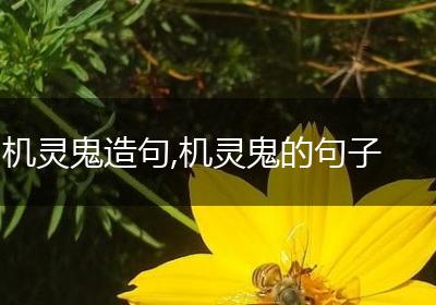 机灵鬼造句,机灵鬼的句子