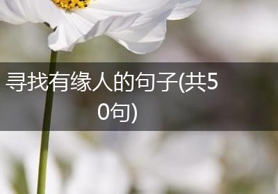 寻找有缘人的句子(共50句)