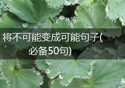 将不可能变成可能句子(必备50句)