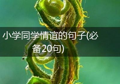 小学同学情谊的句子(必备20句)