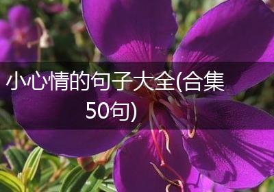 小心情的句子大全(合集50句)