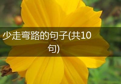 少走弯路的句子(共10句)