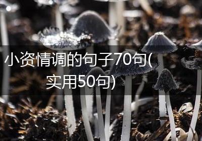 小资情调的句子70句(实用50句)
