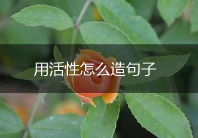 用活性怎么造句子