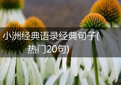 小洲经典语录经典句子(热门20句)