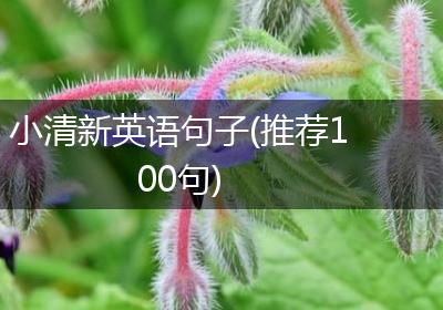 小清新英语句子(推荐100句)