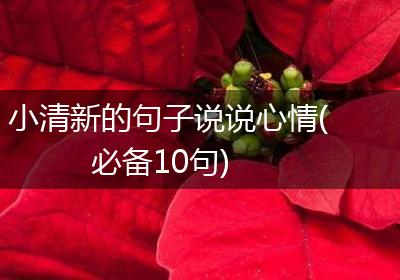 小清新的句子说说心情(必备10句)