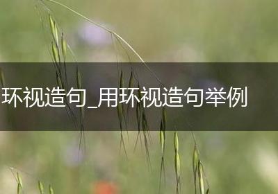 环视造句_用环视造句举例