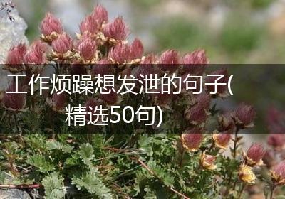 工作烦躁想发泄的句子(精选50句)