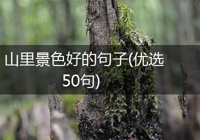 山里景色好的句子(优选50句)