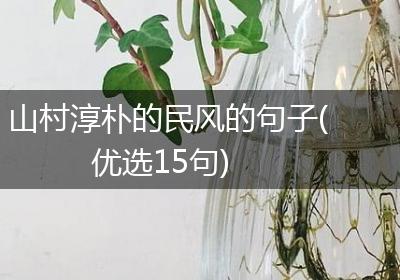 山村淳朴的民风的句子(优选15句)