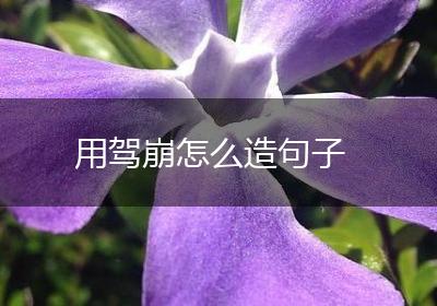 用驾崩怎么造句子