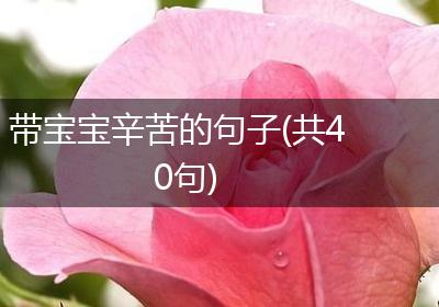 带宝宝辛苦的句子(共40句)