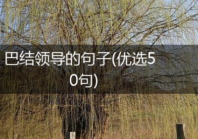 巴结领导的句子(优选50句)