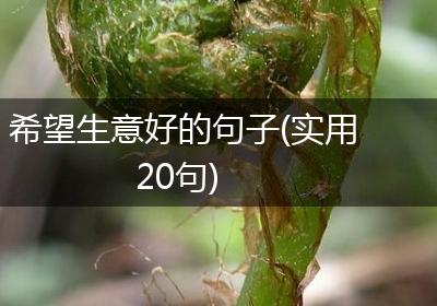 希望生意好的句子(实用20句)