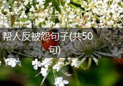 帮人反被怨句子(共50句)