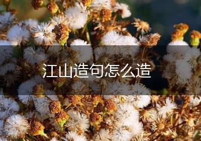 江山造句怎么造