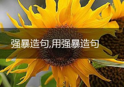 强暴造句,用强暴造句