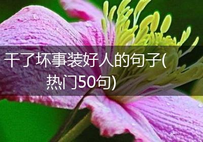 干了坏事装好人的句子(热门50句)