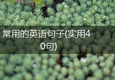 常用的英语句子(实用40句)
