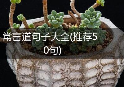 常言道句子大全(推荐50句)