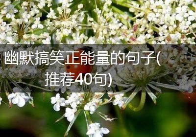 幽默搞笑正能量的句子(推荐40句)