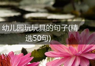 幼儿园玩玩具的句子(精选50句)