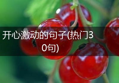开心激动的句子(热门30句)