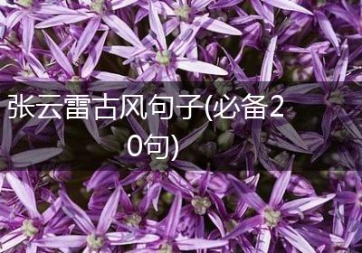 张云雷古风句子(必备20句)