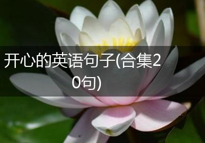 开心的英语句子(合集20句)