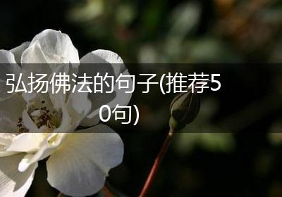 弘扬佛法的句子(推荐50句)