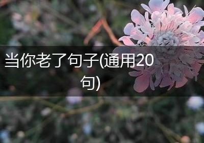 当你老了句子(通用20句)