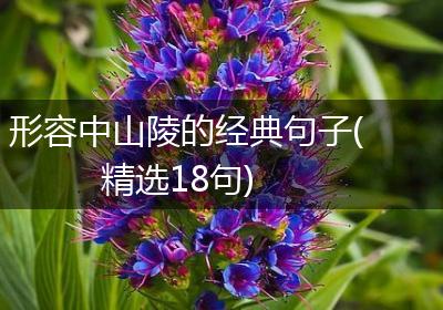 形容中山陵的经典句子(精选18句)