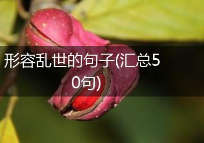 形容乱世的句子(汇总50句)