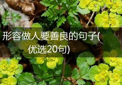 形容做人要善良的句子(优选20句)
