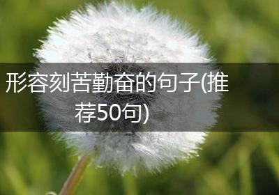 形容刻苦勤奋的句子(推荐50句)