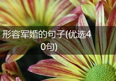形容军婚的句子(优选40句)