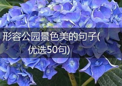 形容公园景色美的句子(优选50句)