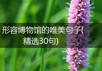形容博物馆的唯美句子(精选30句)