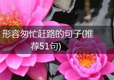 形容匆忙赶路的句子(推荐51句)