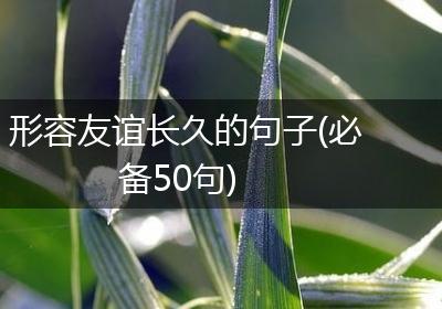 形容友谊长久的句子(必备50句)