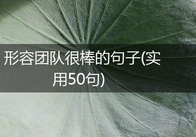 形容团队很棒的句子(实用50句)