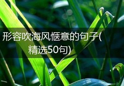 形容吹海风惬意的句子(精选50句)