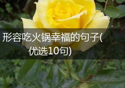形容吃火锅幸福的句子(优选10句)