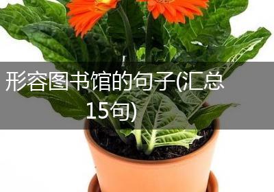 形容图书馆的句子(汇总15句)