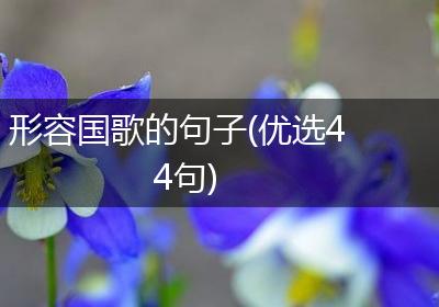 形容国歌的句子(优选44句)
