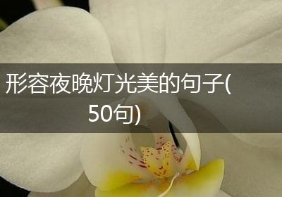 形容夜晚灯光美的句子(50句)