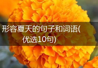形容夏天的句子和词语(优选10句)