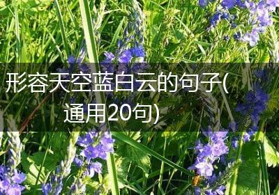 形容天空蓝白云的句子(通用20句)